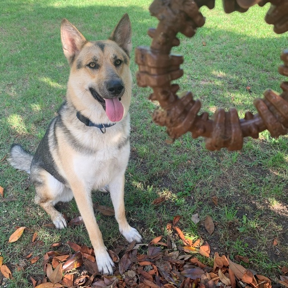 ๐บ๐ธMy Garden๐บ๐ธMy Babies๐บ๐ธ - Picture 13 of 16